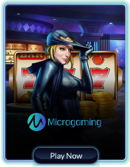 MICROGAMING